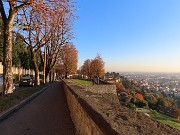 55 Viale delle mura